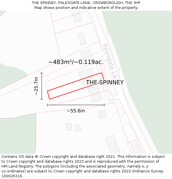 THE SPINNEY, PALESGATE LANE, CROWBOROUGH, TN6 3HF: Plot and title map