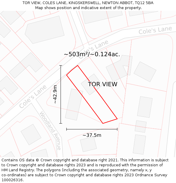 TOR VIEW, COLES LANE, KINGSKERSWELL, NEWTON ABBOT, TQ12 5BA: Plot and title map
