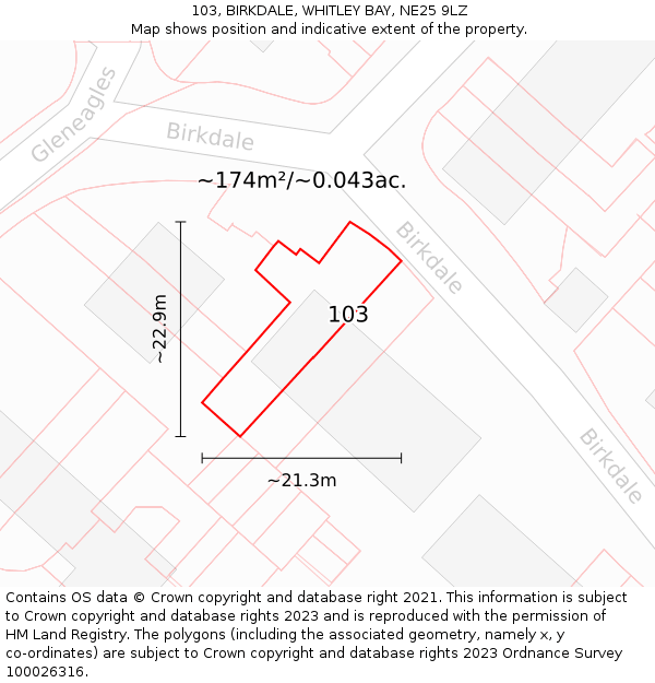 103, BIRKDALE, WHITLEY BAY, NE25 9LZ: Plot and title map