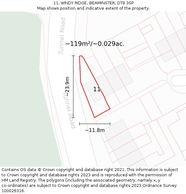 11, WINDY RIDGE, BEAMINSTER, DT8 3SP: Plot and title map