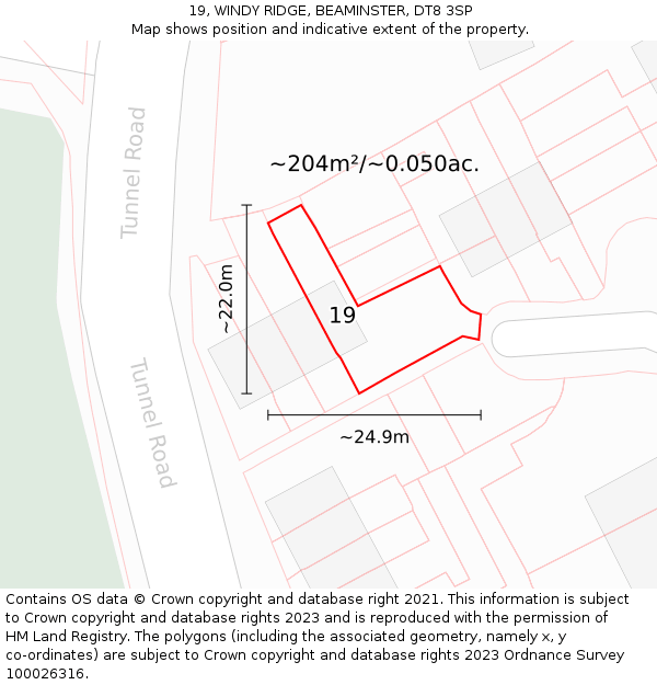 19, WINDY RIDGE, BEAMINSTER, DT8 3SP: Plot and title map