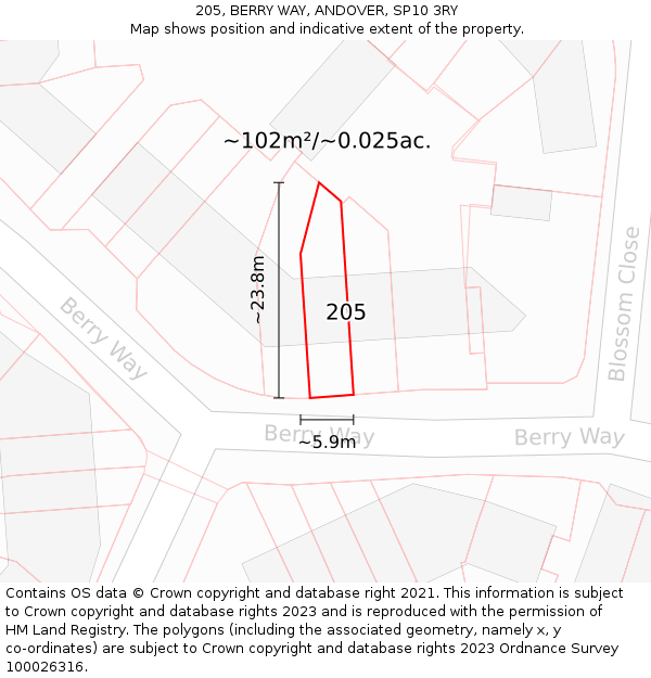 205, BERRY WAY, ANDOVER, SP10 3RY: Plot and title map