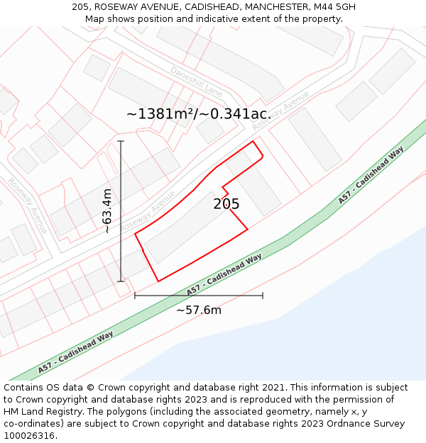 205, ROSEWAY AVENUE, CADISHEAD, MANCHESTER, M44 5GH: Plot and title map