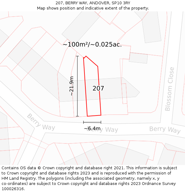 207, BERRY WAY, ANDOVER, SP10 3RY: Plot and title map