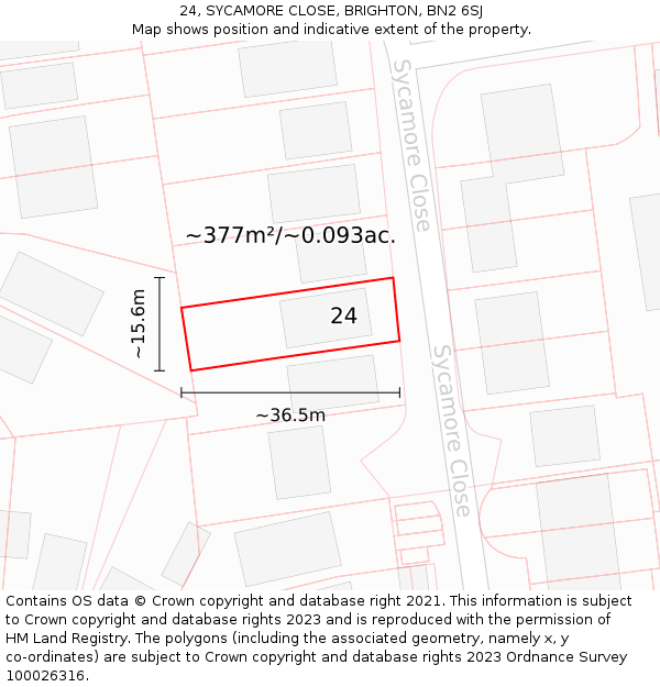 24, SYCAMORE CLOSE, BRIGHTON, BN2 6SJ: Plot and title map