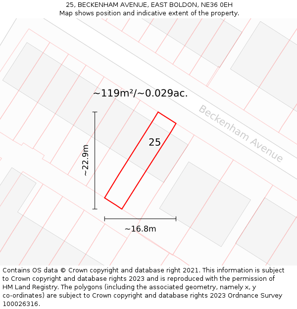 25, BECKENHAM AVENUE, EAST BOLDON, NE36 0EH: Plot and title map