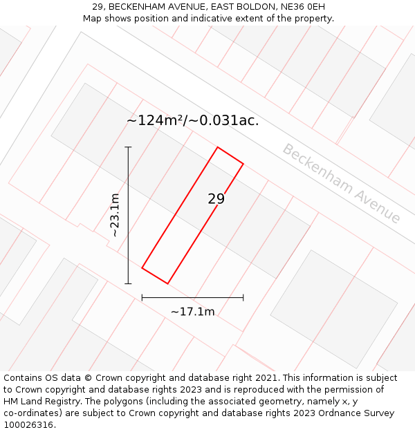 29, BECKENHAM AVENUE, EAST BOLDON, NE36 0EH: Plot and title map
