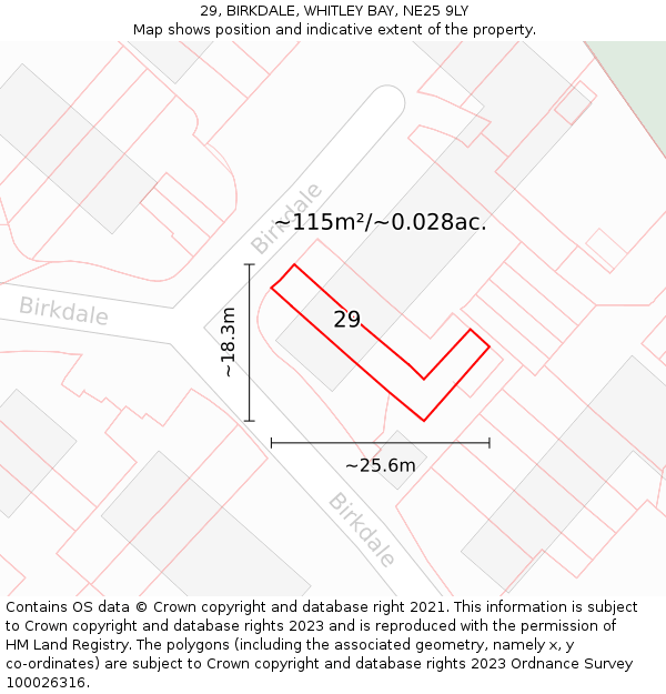 29, BIRKDALE, WHITLEY BAY, NE25 9LY: Plot and title map