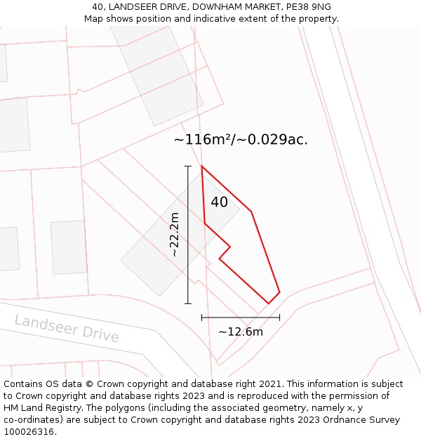 40, LANDSEER DRIVE, DOWNHAM MARKET, PE38 9NG: Plot and title map