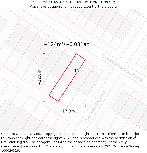 45, BECKENHAM AVENUE, EAST BOLDON, NE36 0EQ: Plot and title map