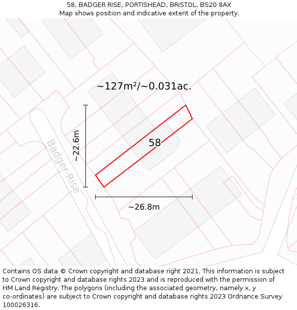 58, BADGER RISE, PORTISHEAD, BRISTOL, BS20 8AX: Plot and title map