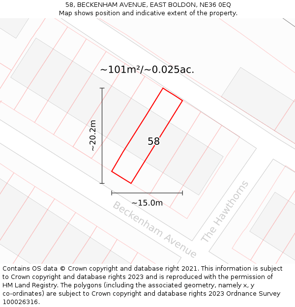 58, BECKENHAM AVENUE, EAST BOLDON, NE36 0EQ: Plot and title map