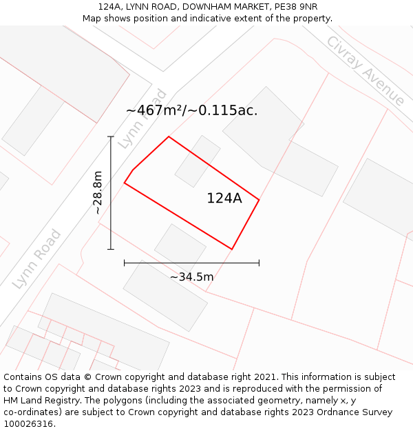 124A, LYNN ROAD, DOWNHAM MARKET, PE38 9NR: Plot and title map