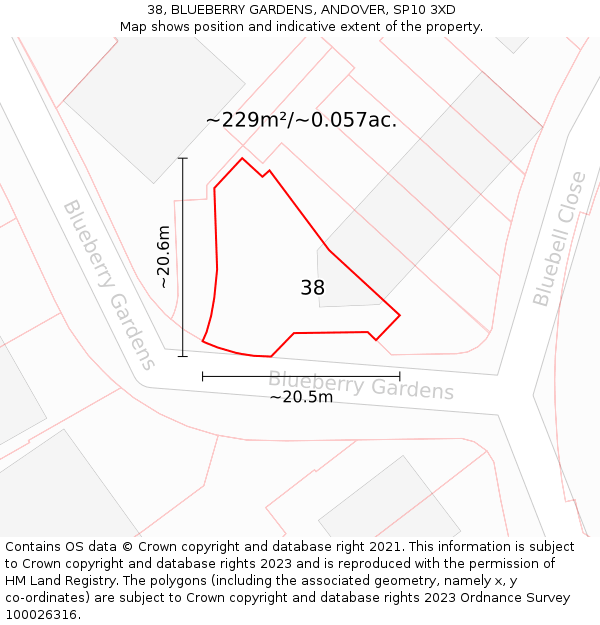 38, BLUEBERRY GARDENS, ANDOVER, SP10 3XD: Plot and title map