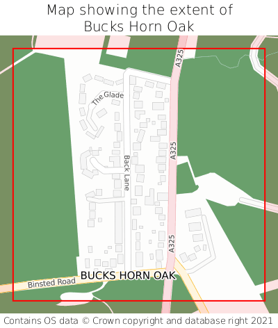 Map showing extent of Bucks Horn Oak as bounding box