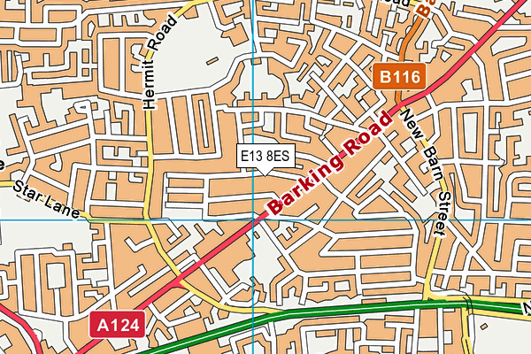E13 8ES map - OS VectorMap District (Ordnance Survey) E13 8ES map - OS VectorMap District (Ordnance Survey)