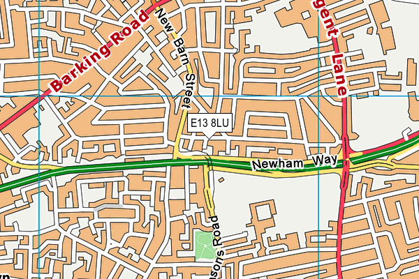 E13 8LU map - OS VectorMap District (Ordnance Survey) E13 8LU map - OS VectorMap District (Ordnance Survey)