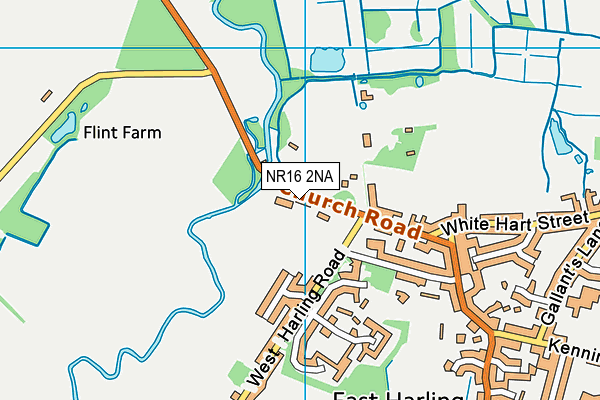 NR16 2NA map - OS VectorMap District (Ordnance Survey) NR16 2NA map - OS VectorMap District (Ordnance Survey)