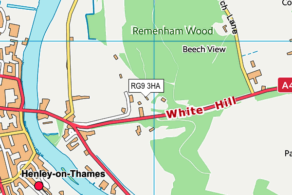 RG9 3HA map - OS VectorMap District (Ordnance Survey) RG9 3HA map - OS VectorMap District (Ordnance Survey)