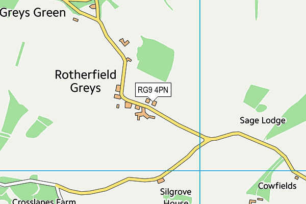 RG9 4PN map - OS VectorMap District (Ordnance Survey) RG9 4PN map - OS VectorMap District (Ordnance Survey)