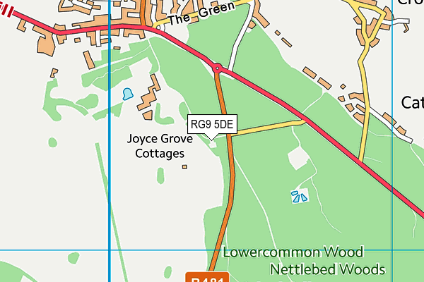 RG9 5DE map - OS VectorMap District (Ordnance Survey) RG9 5DE map - OS VectorMap District (Ordnance Survey)
