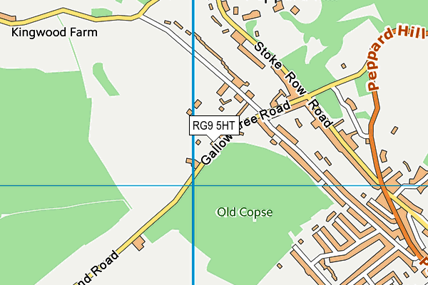 RG9 5HT map - OS VectorMap District (Ordnance Survey) RG9 5HT map - OS VectorMap District (Ordnance Survey)