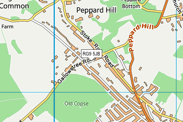 RG9 5JB map - OS VectorMap District (Ordnance Survey) RG9 5JB map - OS VectorMap District (Ordnance Survey)