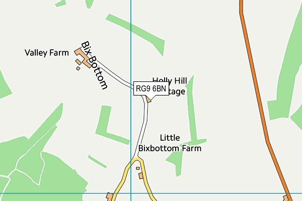 RG9 6BN map - OS VectorMap District (Ordnance Survey) RG9 6BN map - OS VectorMap District (Ordnance Survey)