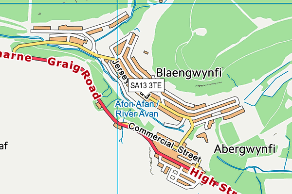 SA13 3TE map - OS VectorMap District (Ordnance Survey) SA13 3TE map - OS VectorMap District (Ordnance Survey)