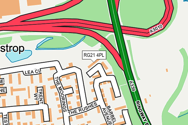 RG21 4PL map - OS OpenMap – Local (Ordnance Survey) RG21 4PL map - OS OpenMap – Local (Ordnance Survey)