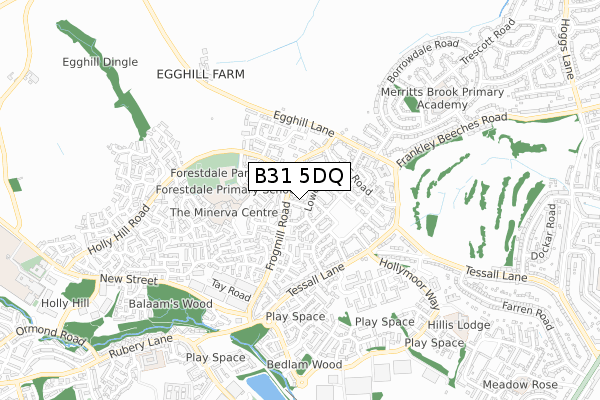 B31 5DQ map - small scale - OS Open Zoomstack (Ordnance Survey)