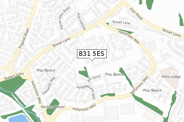 B31 5ES map - large scale - OS Open Zoomstack (Ordnance Survey)