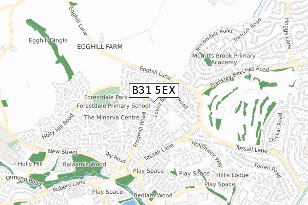 B31 5EX map - small scale - OS Open Zoomstack (Ordnance Survey)