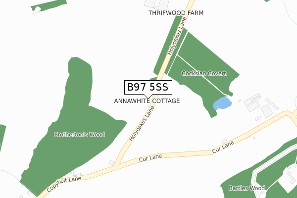 B97 5SS map - large scale - OS Open Zoomstack (Ordnance Survey)