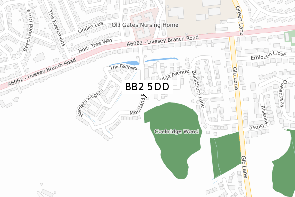 BB2 5DD map - large scale - OS Open Zoomstack (Ordnance Survey)