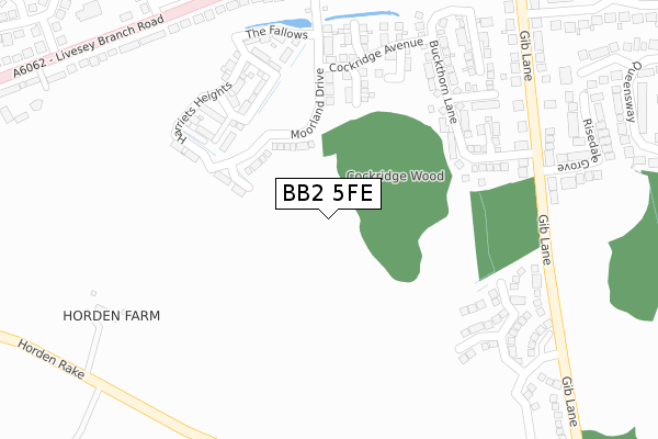 BB2 5FE map - large scale - OS Open Zoomstack (Ordnance Survey)