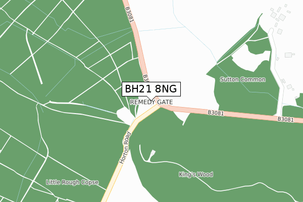 BH21 8NG map - large scale - OS Open Zoomstack (Ordnance Survey)