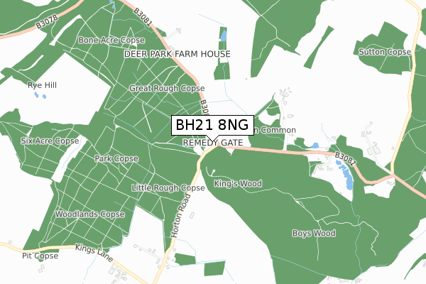 BH21 8NG map - small scale - OS Open Zoomstack (Ordnance Survey)