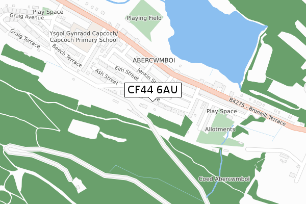 CF44 6AU map - large scale - OS Open Zoomstack (Ordnance Survey)