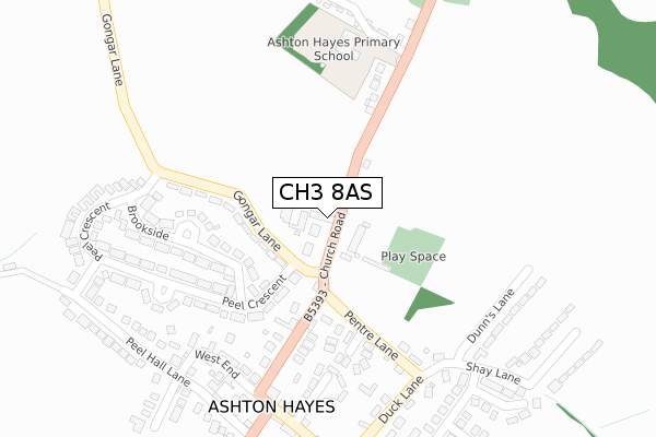 CH3 8AS map - large scale - OS Open Zoomstack (Ordnance Survey)