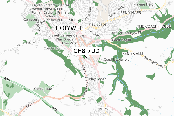 CH8 7UD map - small scale - OS Open Zoomstack (Ordnance Survey)