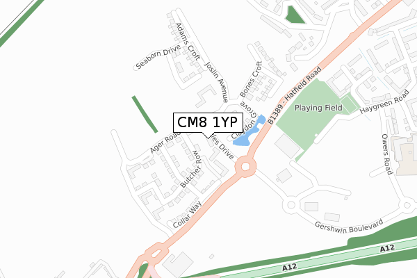 CM8 1YP map - large scale - OS Open Zoomstack (Ordnance Survey)