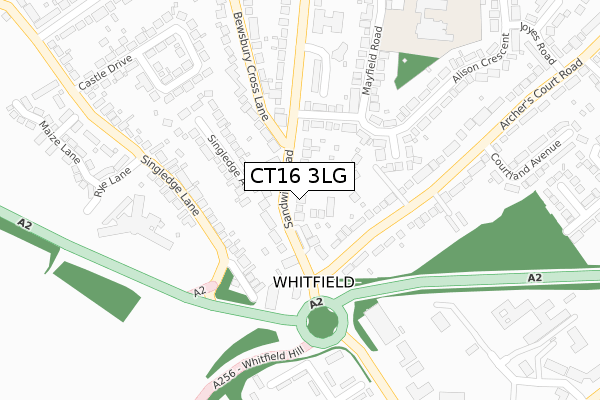 CT16 3LG map - large scale - OS Open Zoomstack (Ordnance Survey)