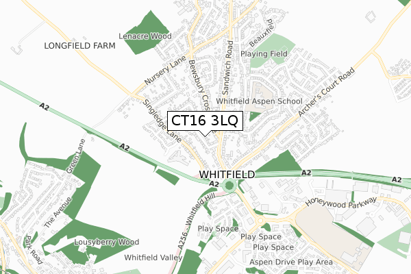 CT16 3LQ map - small scale - OS Open Zoomstack (Ordnance Survey)