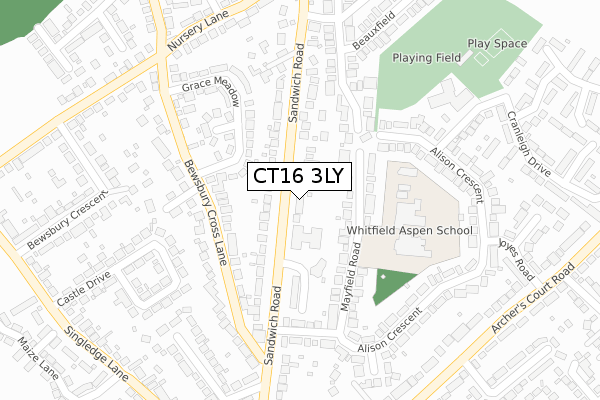 CT16 3LY map - large scale - OS Open Zoomstack (Ordnance Survey)