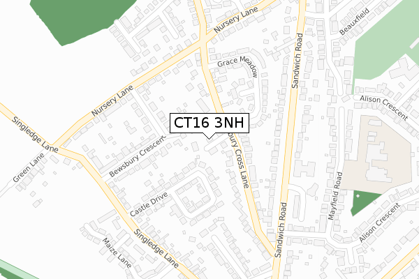 CT16 3NH map - large scale - OS Open Zoomstack (Ordnance Survey)