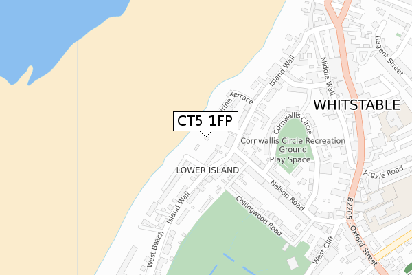 CT5 1FP map - large scale - OS Open Zoomstack (Ordnance Survey)