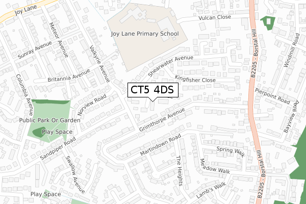 CT5 4DS map - large scale - OS Open Zoomstack (Ordnance Survey)