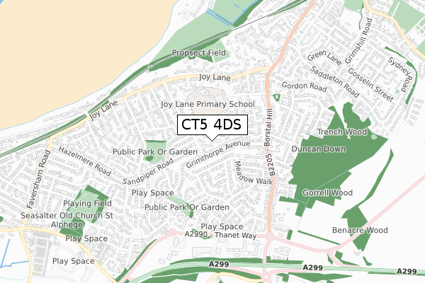 CT5 4DS map - small scale - OS Open Zoomstack (Ordnance Survey)