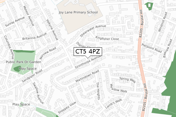 CT5 4PZ map - large scale - OS Open Zoomstack (Ordnance Survey)